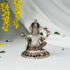 Back view of Ganesh Statue